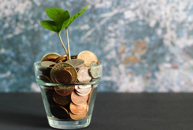 plant-in-pot-of-coins